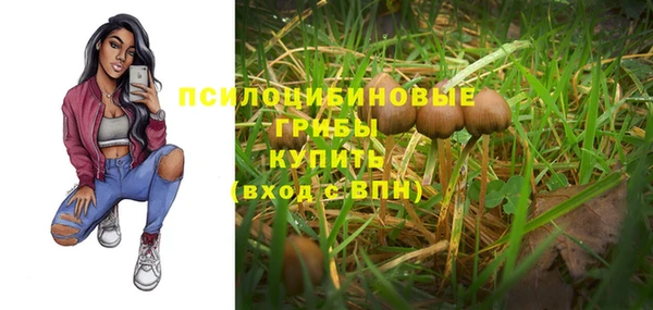 apvp Белоозёрский