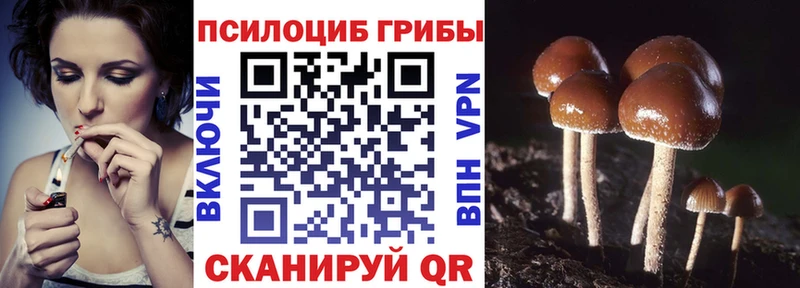 сколько стоит  Каспийск  мега ССЫЛКА  Галлюциногенные грибы Cubensis 